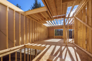Особенности использования древесины в строительных целях