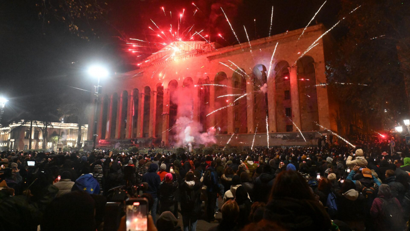 Протестующие в Тбилиси "украсили" установленную у парламента елку